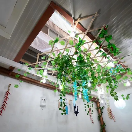 Apartament Angel House